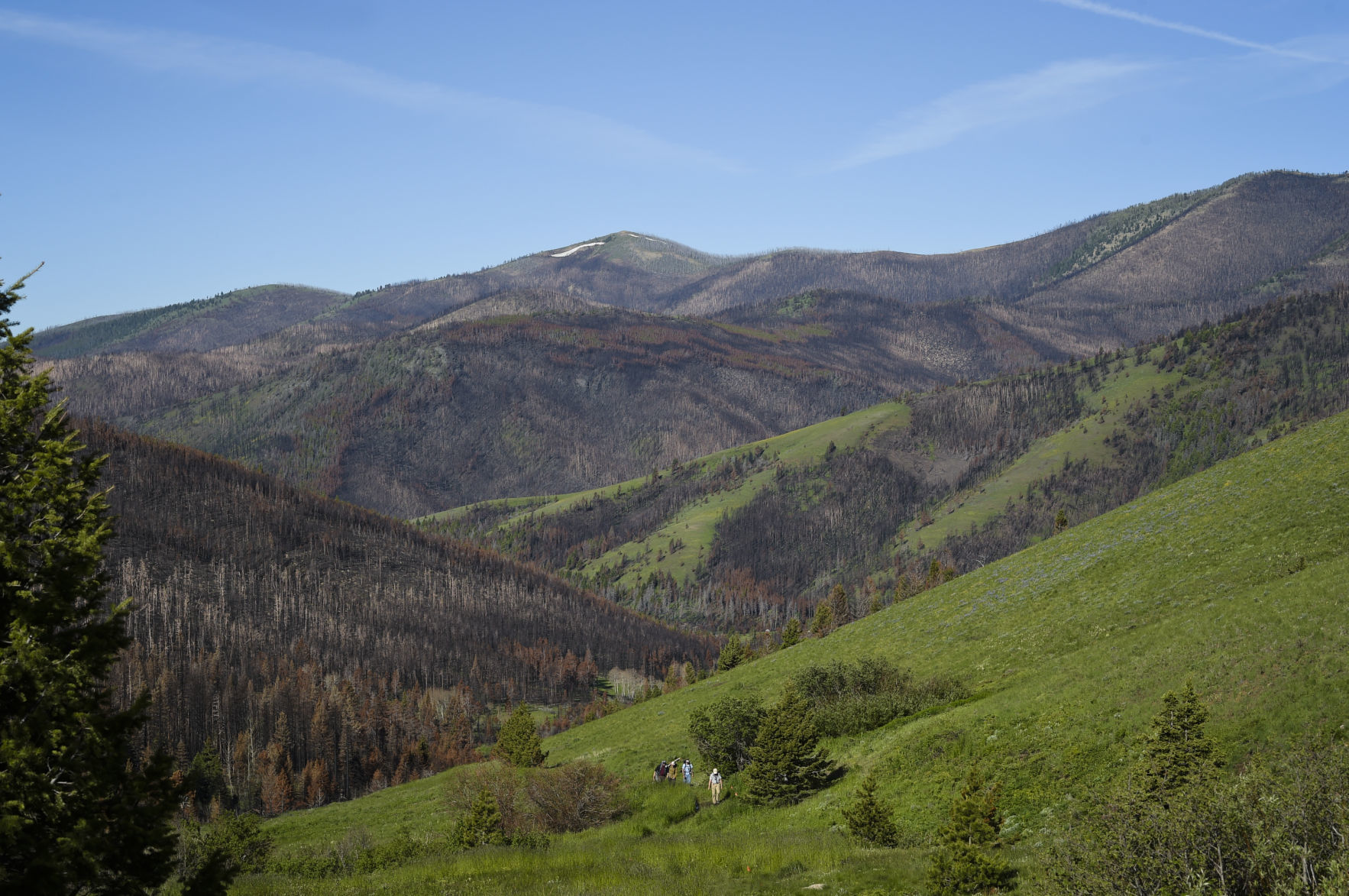 The volunteer trail crew hikes up and out of the Alice Creek drainage